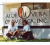 Наши продукты Aloe Vera помогут Вам почувствовать себя здоровыми и