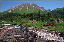 Северный Кавказ - горная река