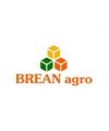 BREAN LLC